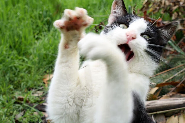 从安菲尔德奇迹到亚洲曙光，C罗一锤定音背后的足球时代变迁