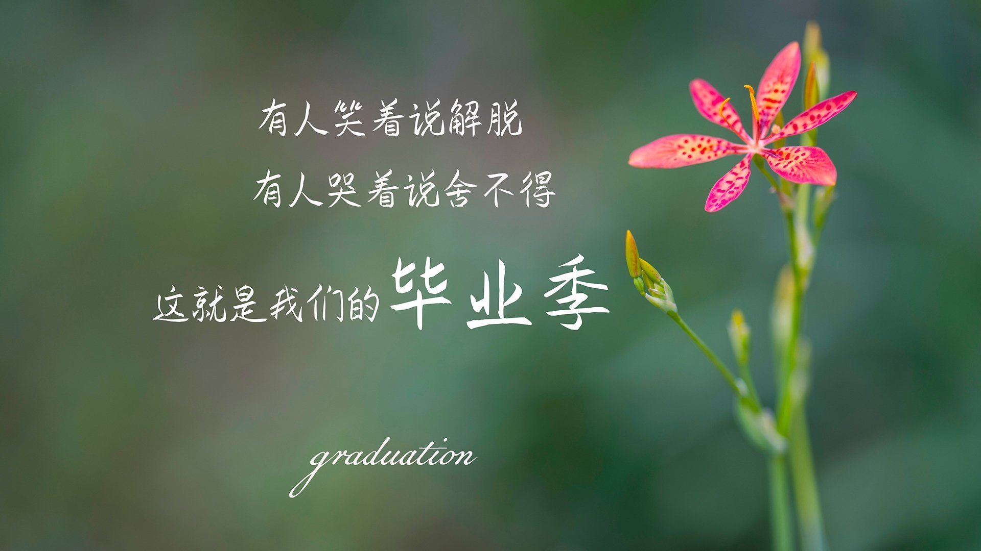 平行宇宙同夜闪耀，从泰伦·卢的孤注一掷到马克西的雨夜神迹