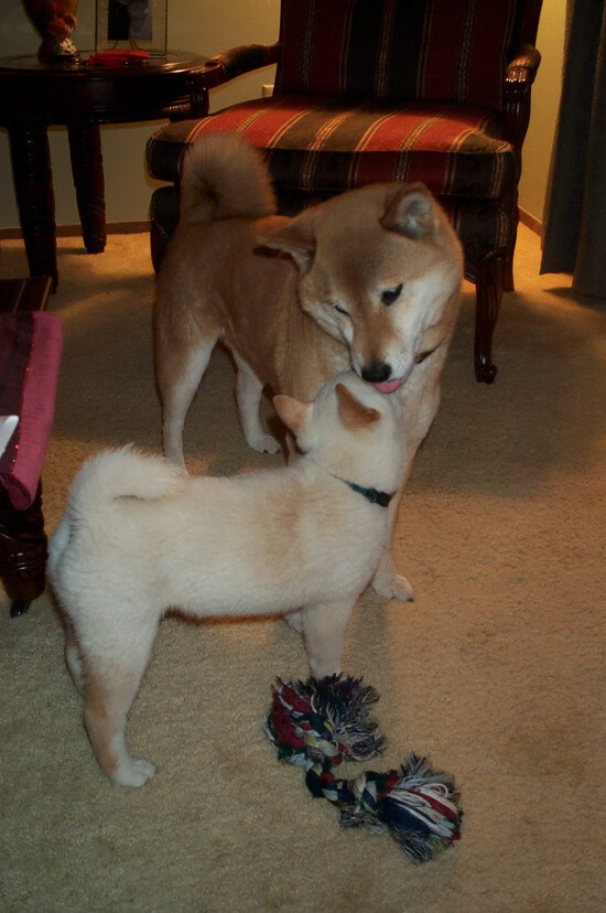 跨时空对决!爱德华兹52分神迹难救主,北京男篮量子纠缠击败凯尔特人