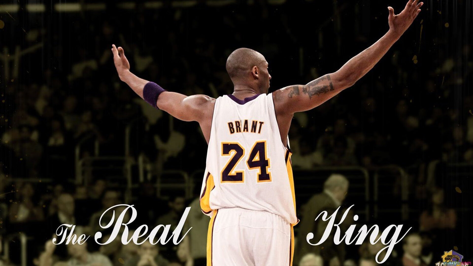 冰原公牛对阵风沙新疆，范弗利特再现大场面先生本色