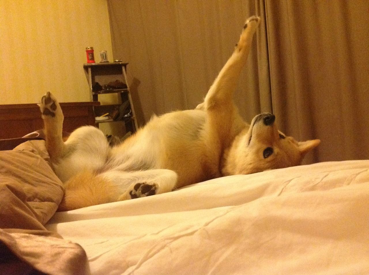 意甲焦点战外的风暴，洪都拉斯横扫哥伦比亚的足球启示录