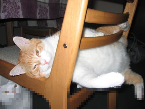 2026沙漠风暴，马丁内利跨越金字塔与城堡的独舞