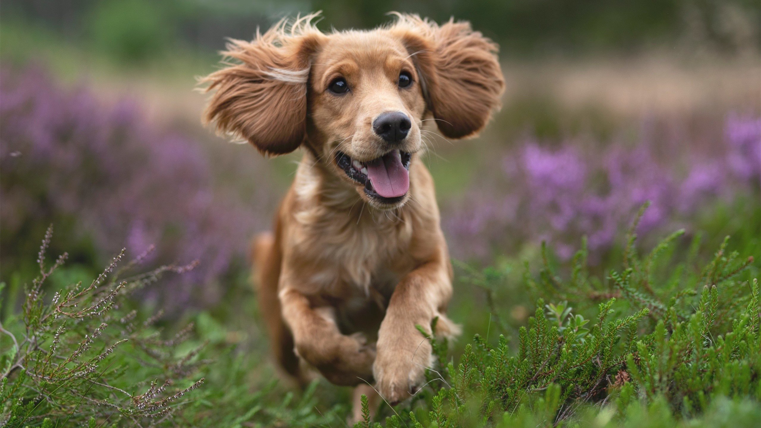 末节风暴！热火凭福克斯关键表现带走奇才
