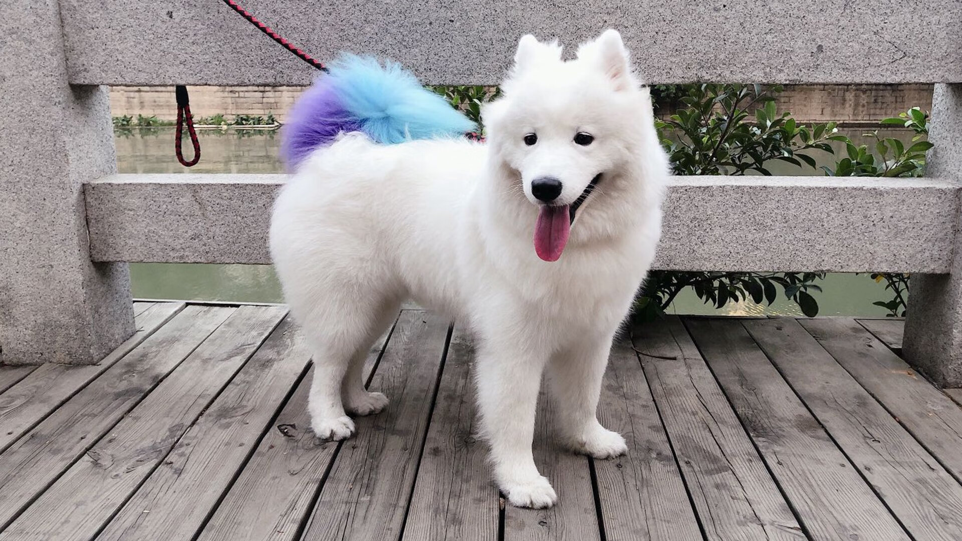 战局拆解者，世界杯之夜，苏亚雷斯献上定义核心中锋的残酷教科书