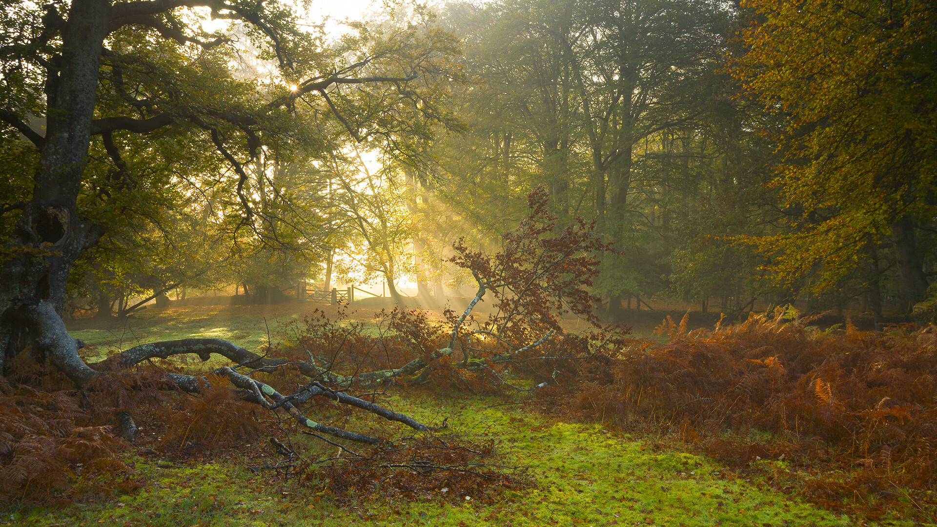 巴尔韦德造5球！厄瓜多尔三叉戟踢疯，三线轰5球，完美演绎一波流