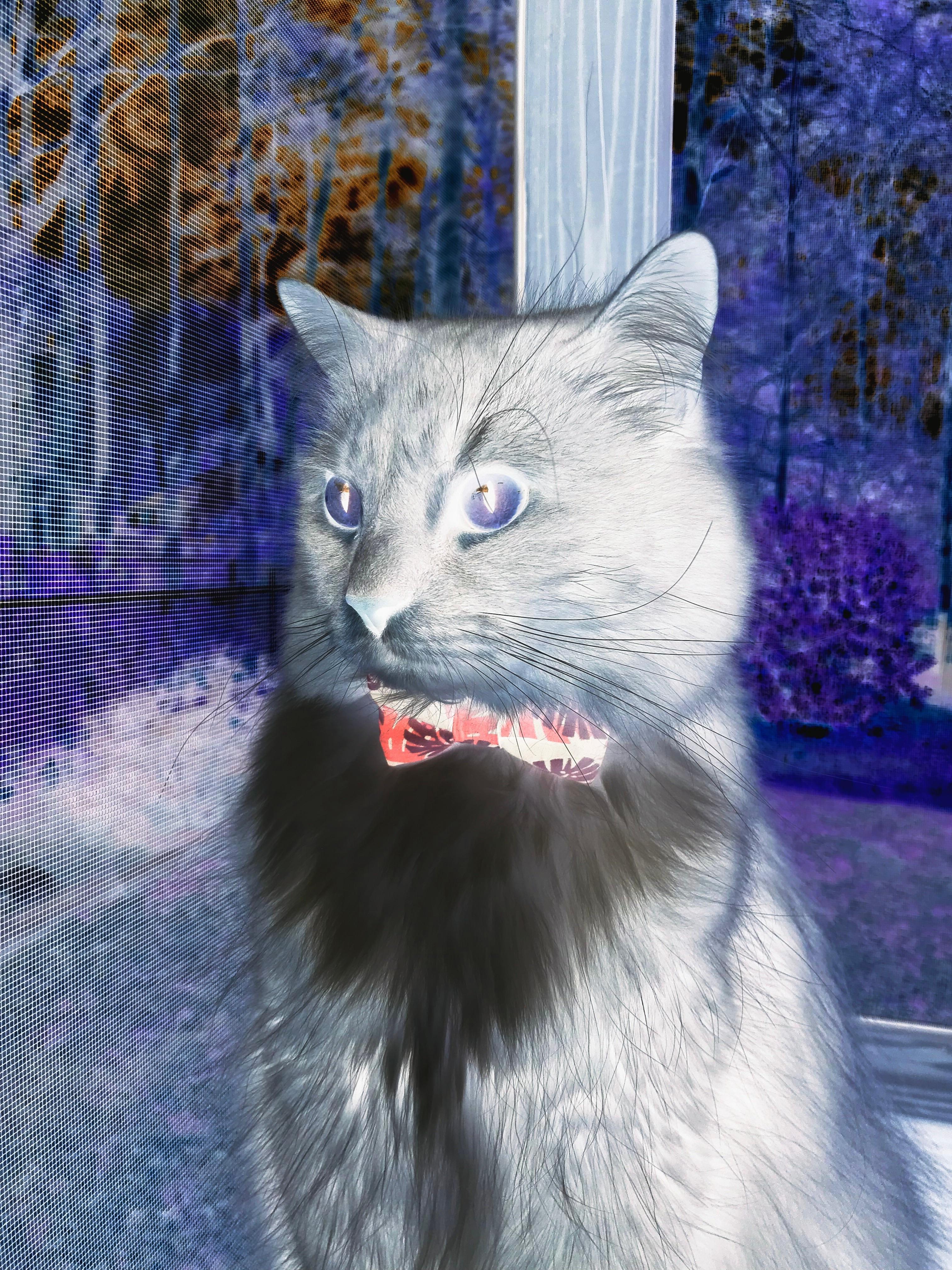 瑞士军刀折戟赤道，迪巴拉用魔法切割坚冰