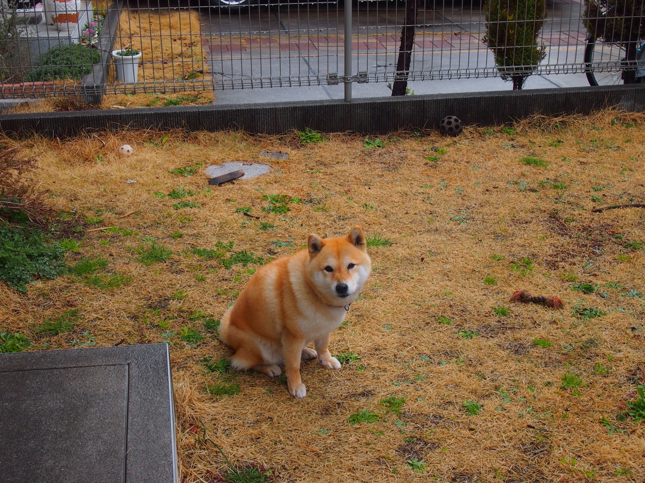 双城记，维尼修斯致命一击与曼城压哨绝杀—绿茵场上的终极心理博弈