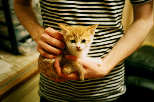 冰与火之歌，当拉亚在排名战的寒风中接管比赛—冰岛如何以冷淬炼足球灵魂