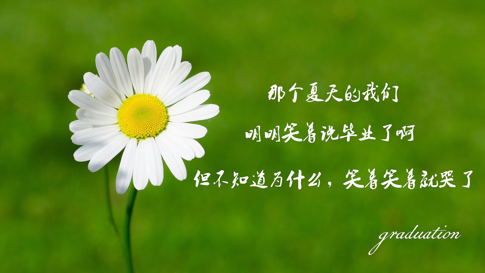 这是一篇为您定制的文章，融合了体育评论的激情与历史叙事的厚重感，紧扣您给出的所有关键词