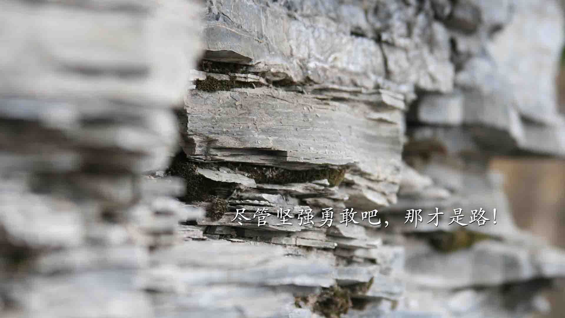 1.战地箴言B组漩涡，凯恩如何用一粒进球，为波兰队撕开厄瓜多尔的南美铁幕？