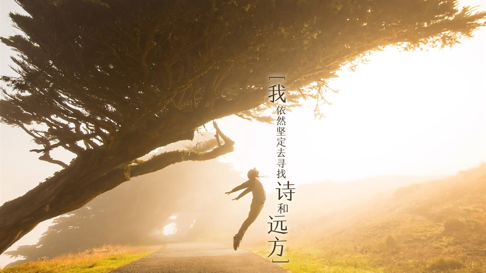 神迹之夜，2026世界杯G组焦点战，印度逆转挪威，格列兹曼以欧洲大脑导演亚洲足球史诗